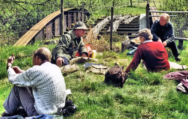 Picnic at Plas y Nant