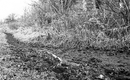 Station from the trackbed in 1985 - slate edging visible